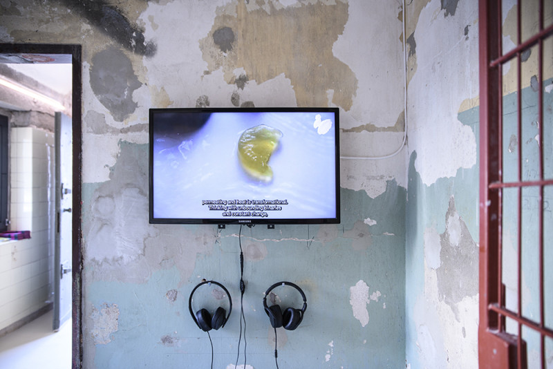 Video auf einem Bildschirm an der Wand. Kopfhörer hängen dabei.