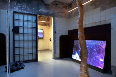 View of the Work of Caterina Gobbi, My eyes are wild, my lips tight pressed