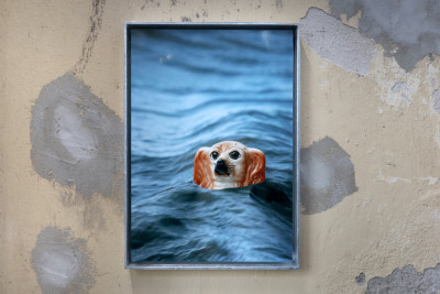 Ausstellungsansicht von einem Porträt eines Porzellandhunds