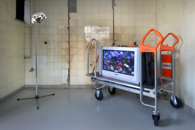Room installation. There is an old television on a shopping trolley, next to it is a lamp.