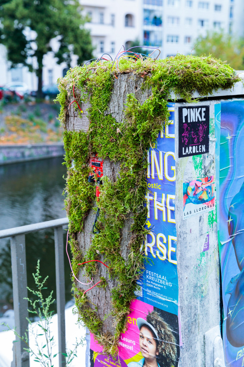 Electricity box covered with colourful posters, overgrown with green moss.