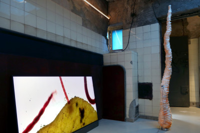 Caterina Gobbi, My eyes are wild, my lips tight pressed