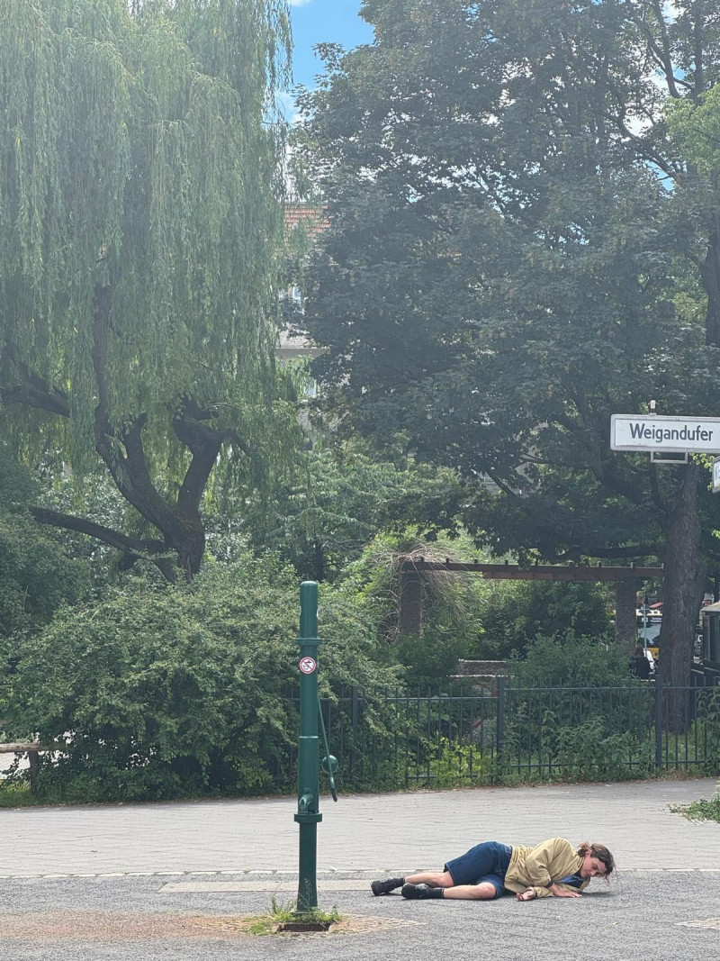 text: >
  Künstlerin liegt auf einer
  gepflasterten Straße neben einem
  Wasserpfosten
decorative: false
source: reviewed