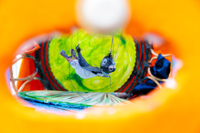 Transit-Theater-Berlin: If I were a bird (Theater Lambe Lambe)